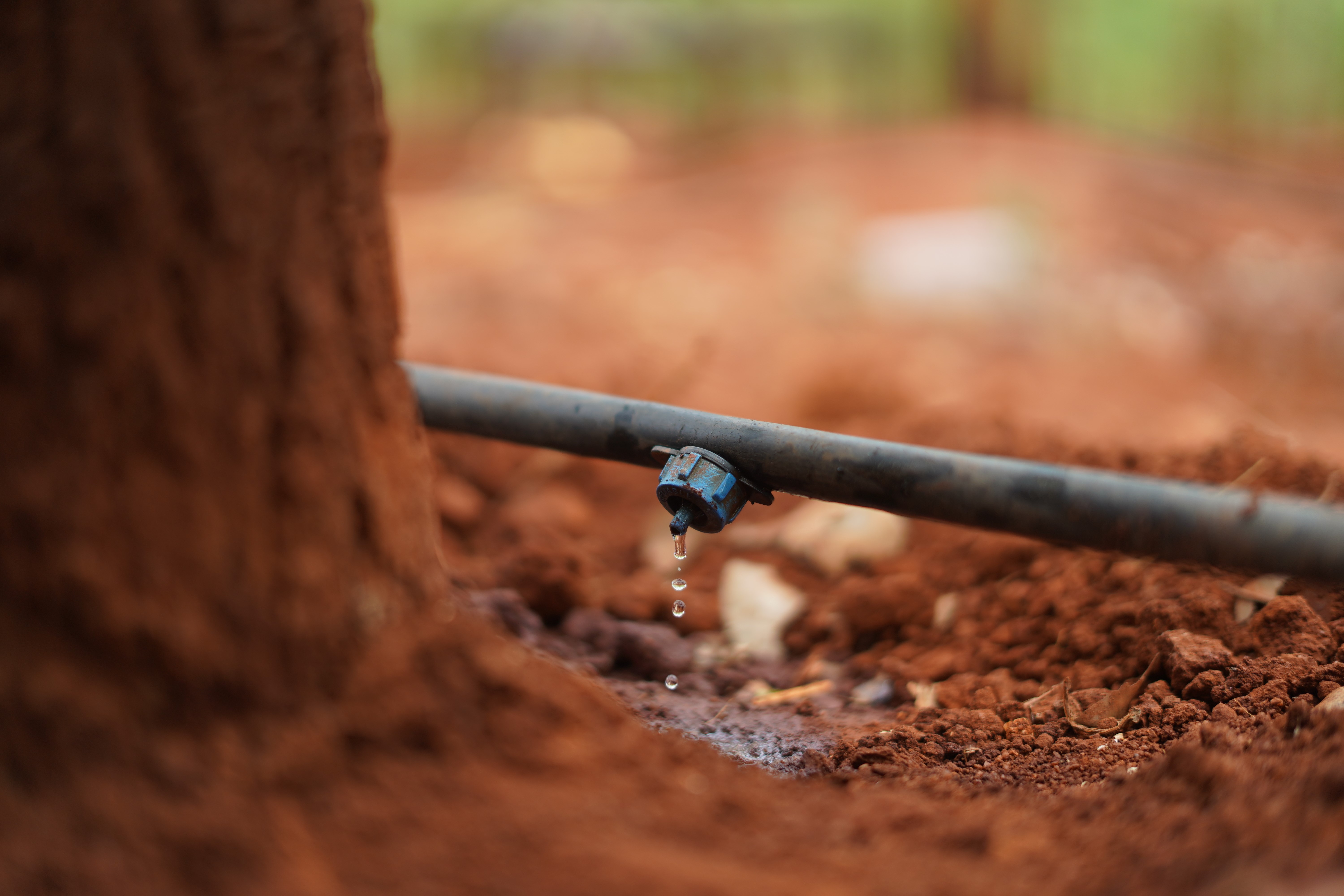 Drip Irrigation