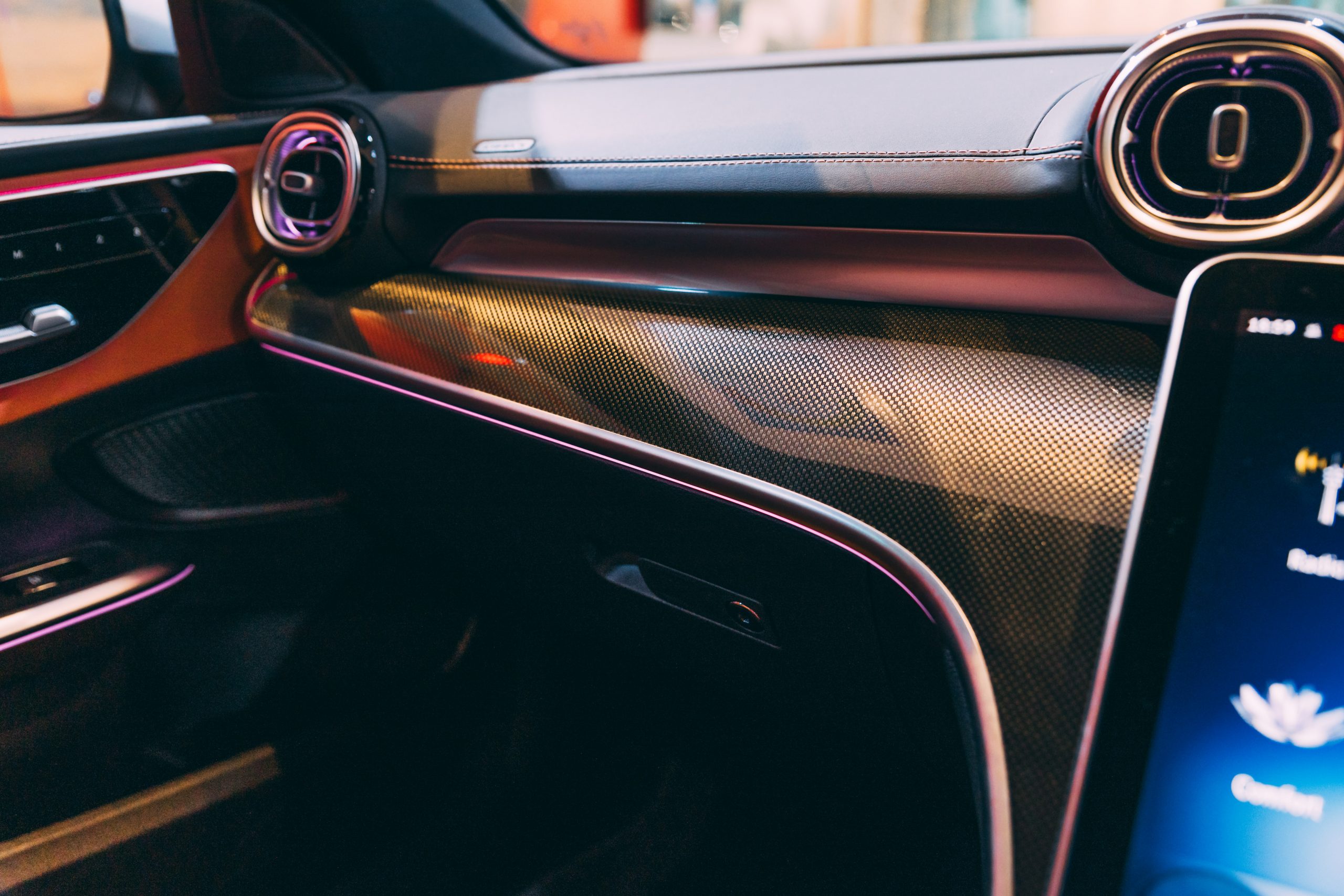 Dashboard & Panel Protection